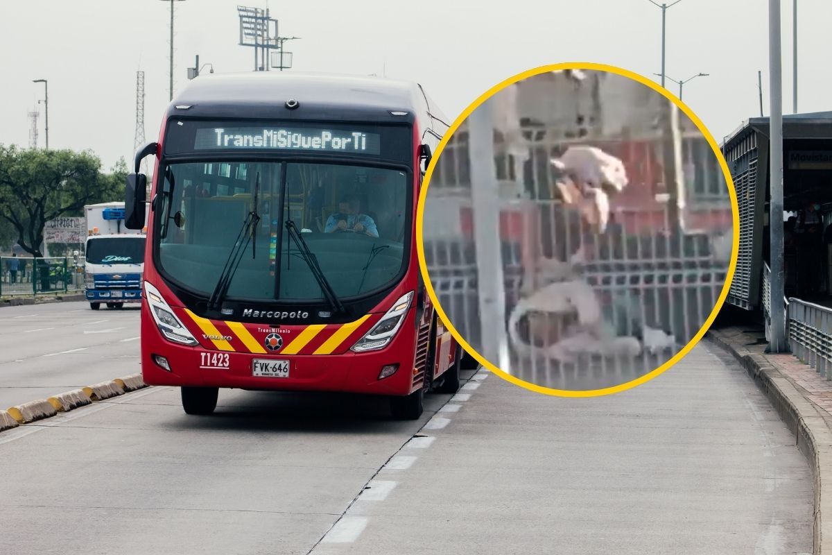 Pelea en Transmilenio