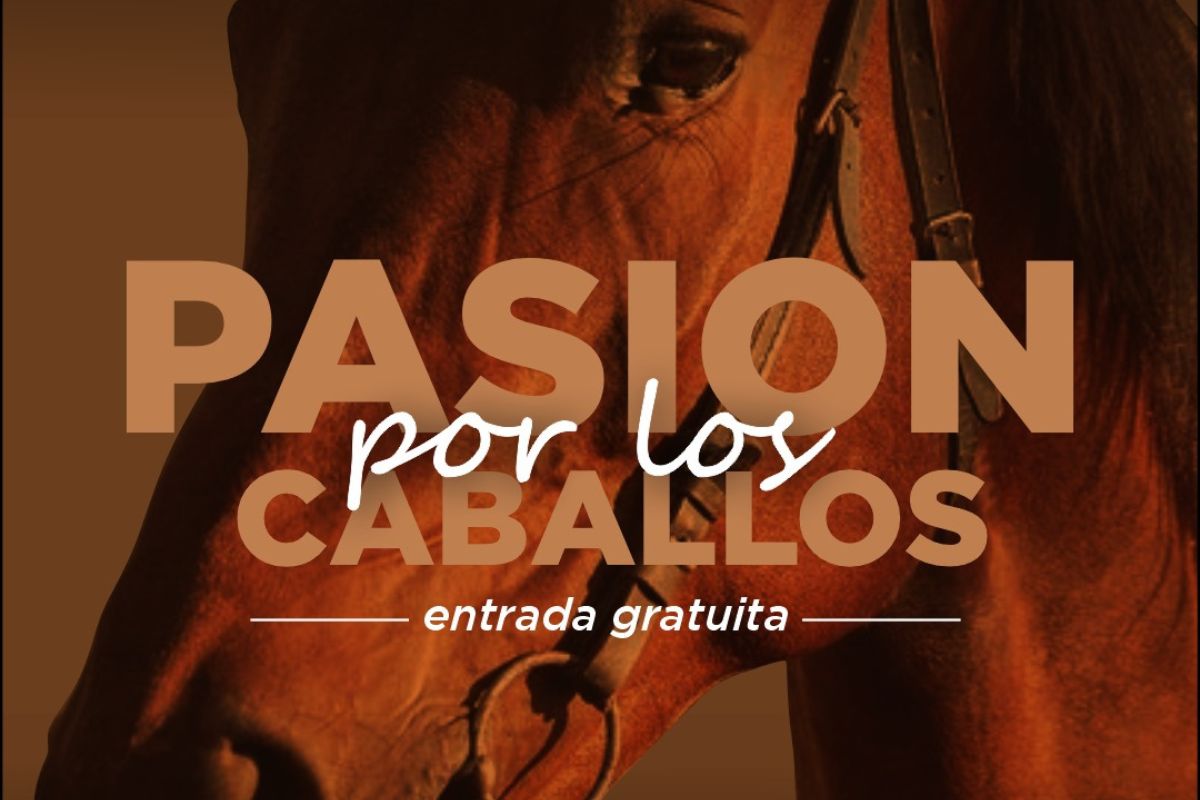 Evento para amantes de los caballos / Cortesía