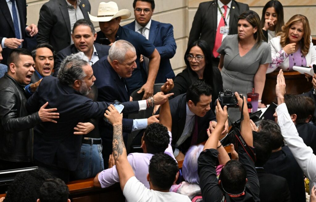 Pelea de Armando Benedetti en el Congreso / AFP