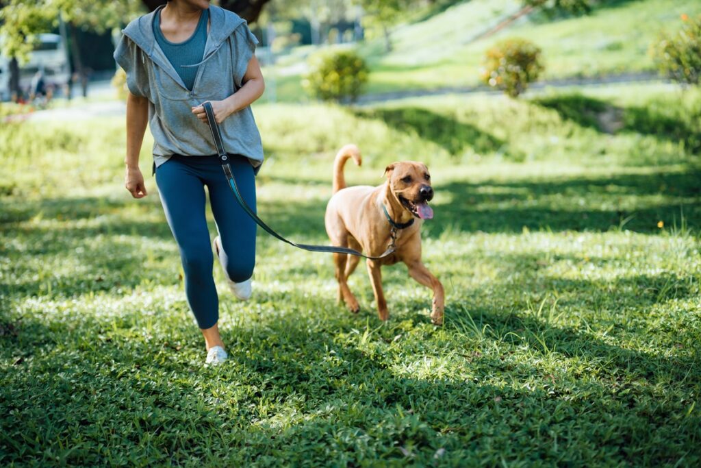 En caso de que sea una mascota de asistencia podrá ingresar a los locales de Crepes & Waffles / Getty Images