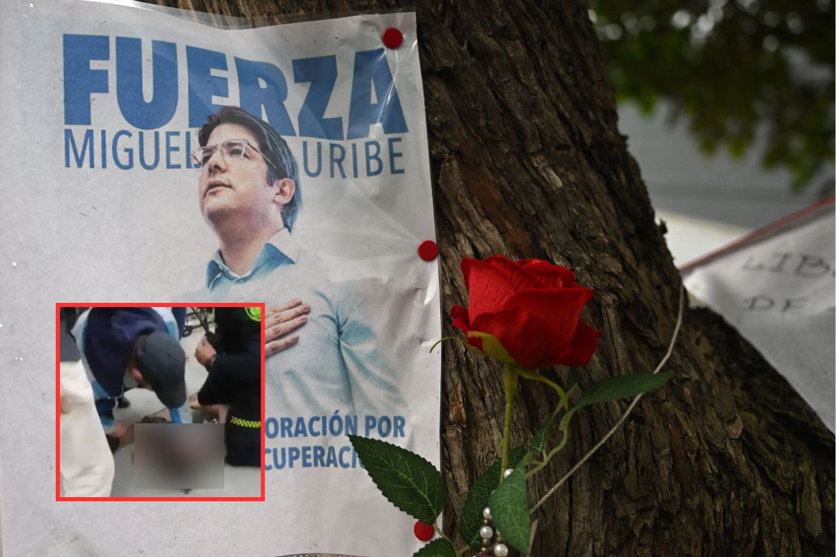 Imagen noticia seccion
