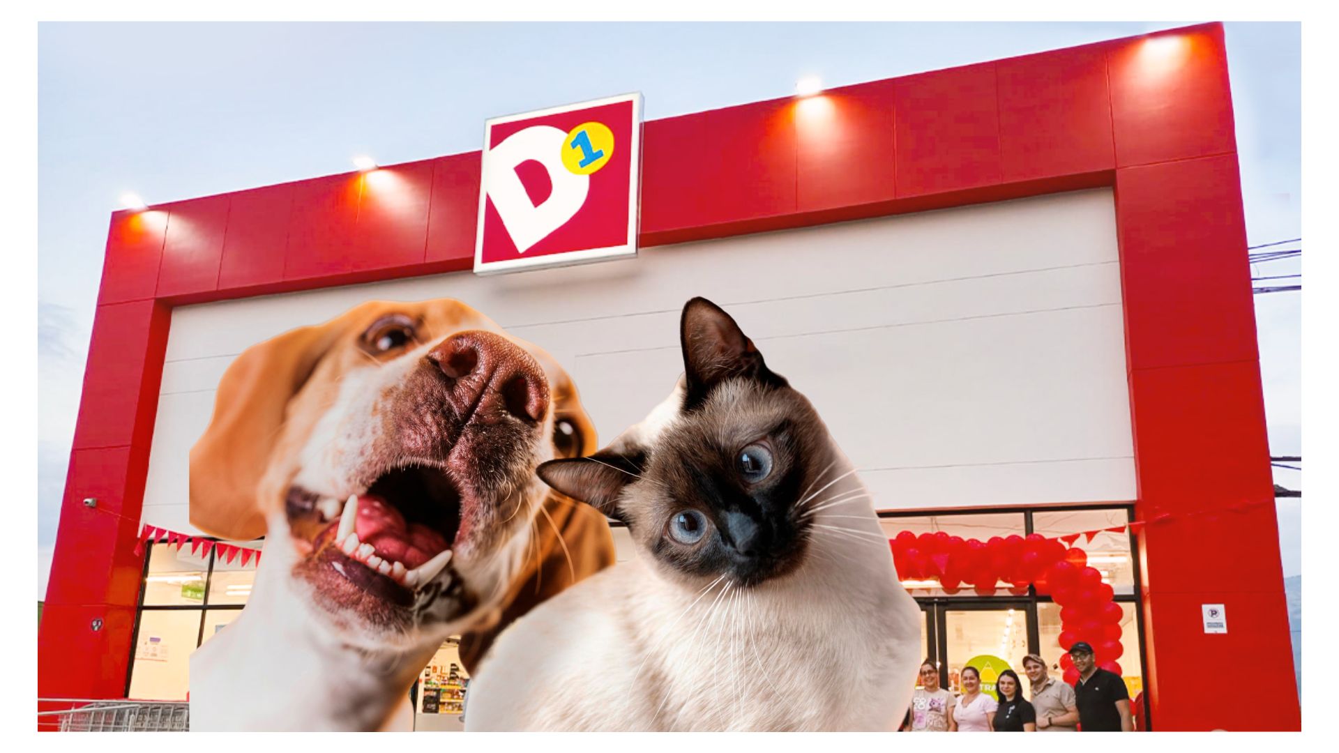  D1 productos nuevos: lanza accesorios para mascotas útiles desde $ 3.900
