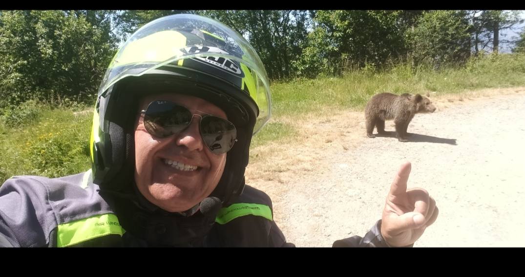 Hombre atacado por oso