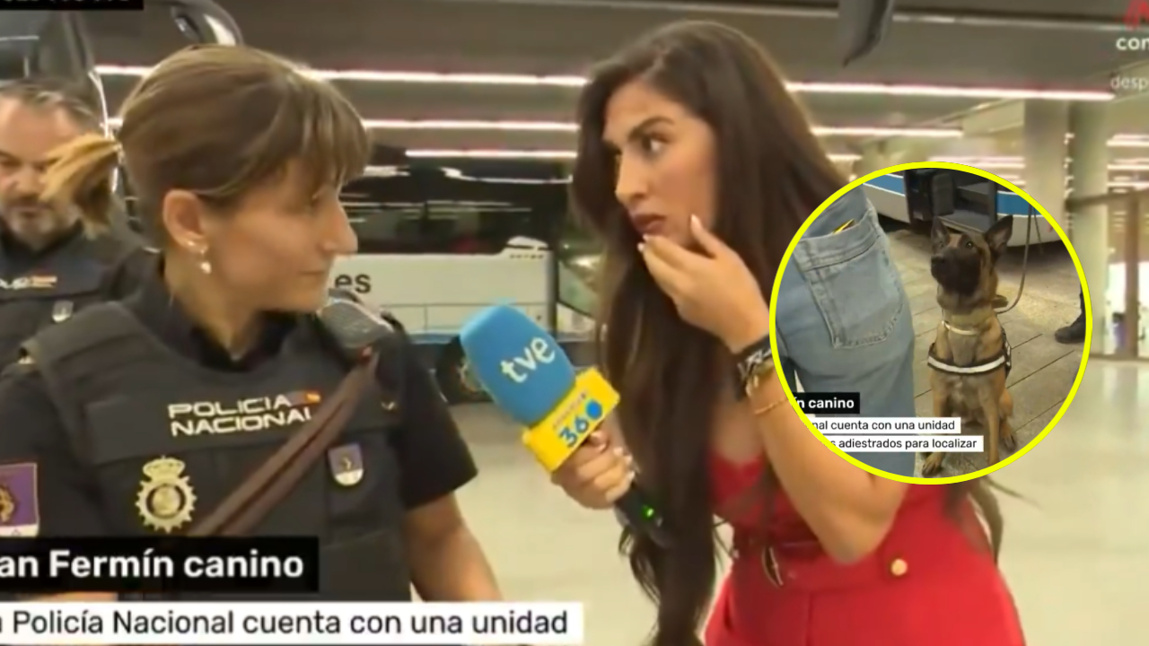 Imagen noticia seccion