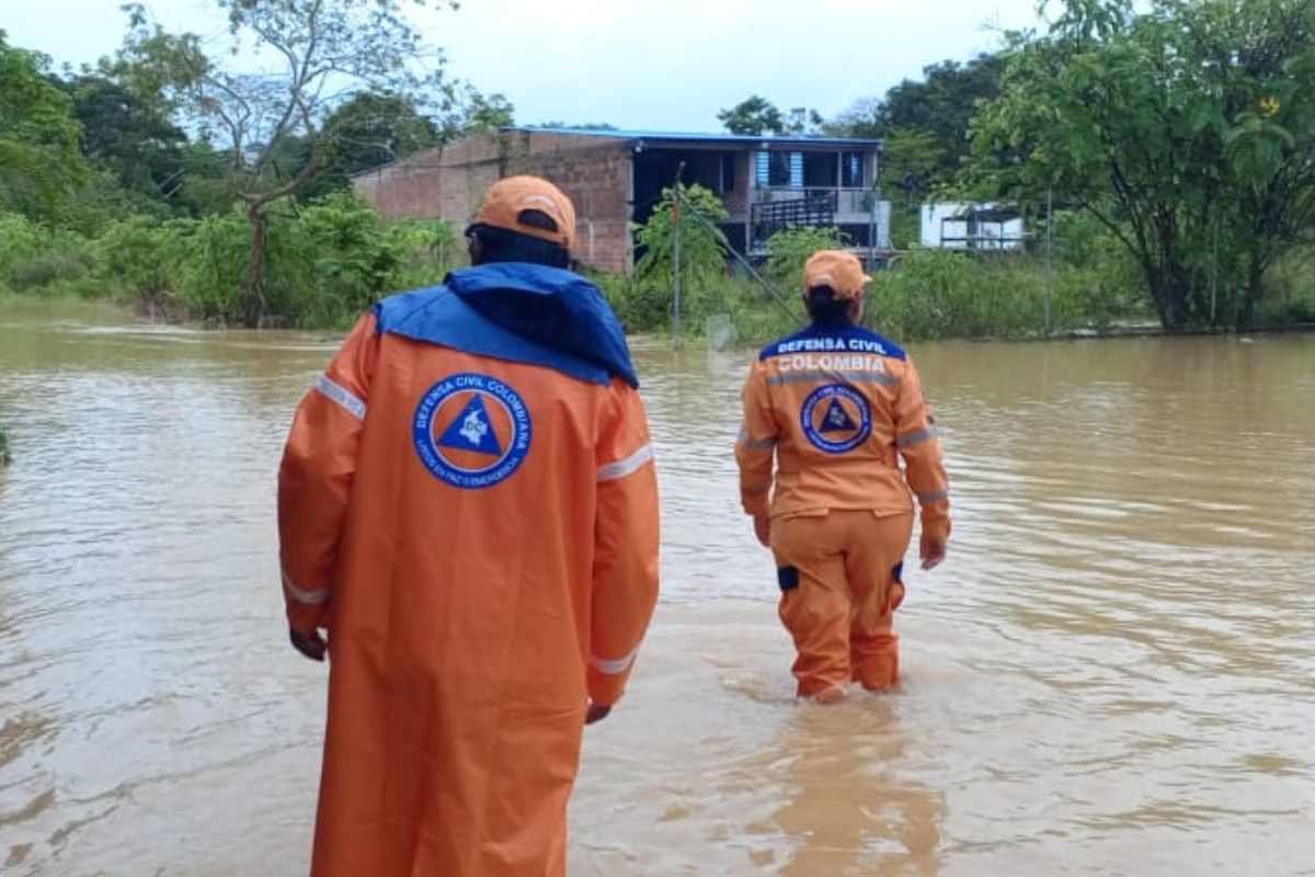 Imagen noticia seccion