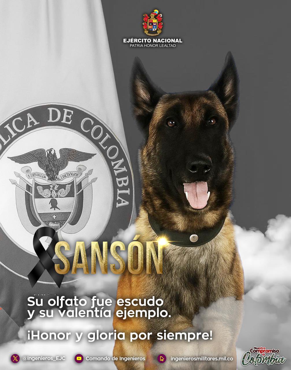 Imagen noticia seccion