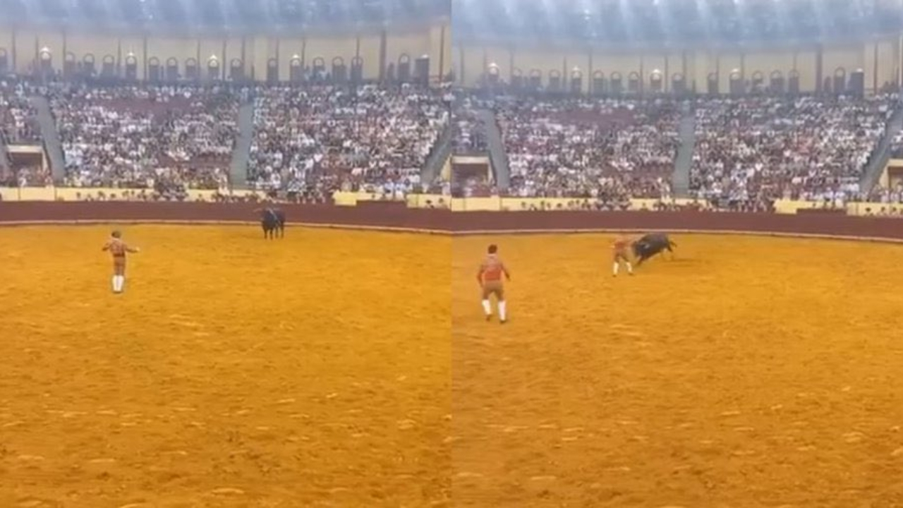 Luto en la tauromaquia: fallece Manuel Trindade en su debut en Lisboa, qué pasó