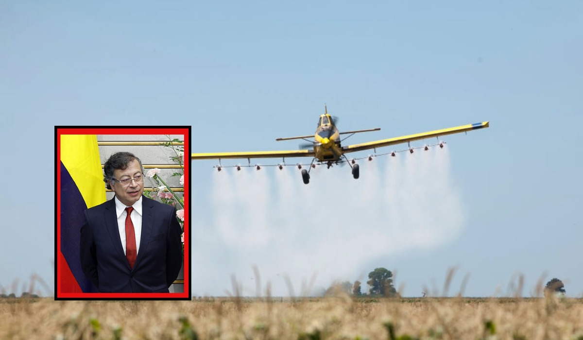 Gustavo Petro anunció fumigación aérea de cultivos ilícitos