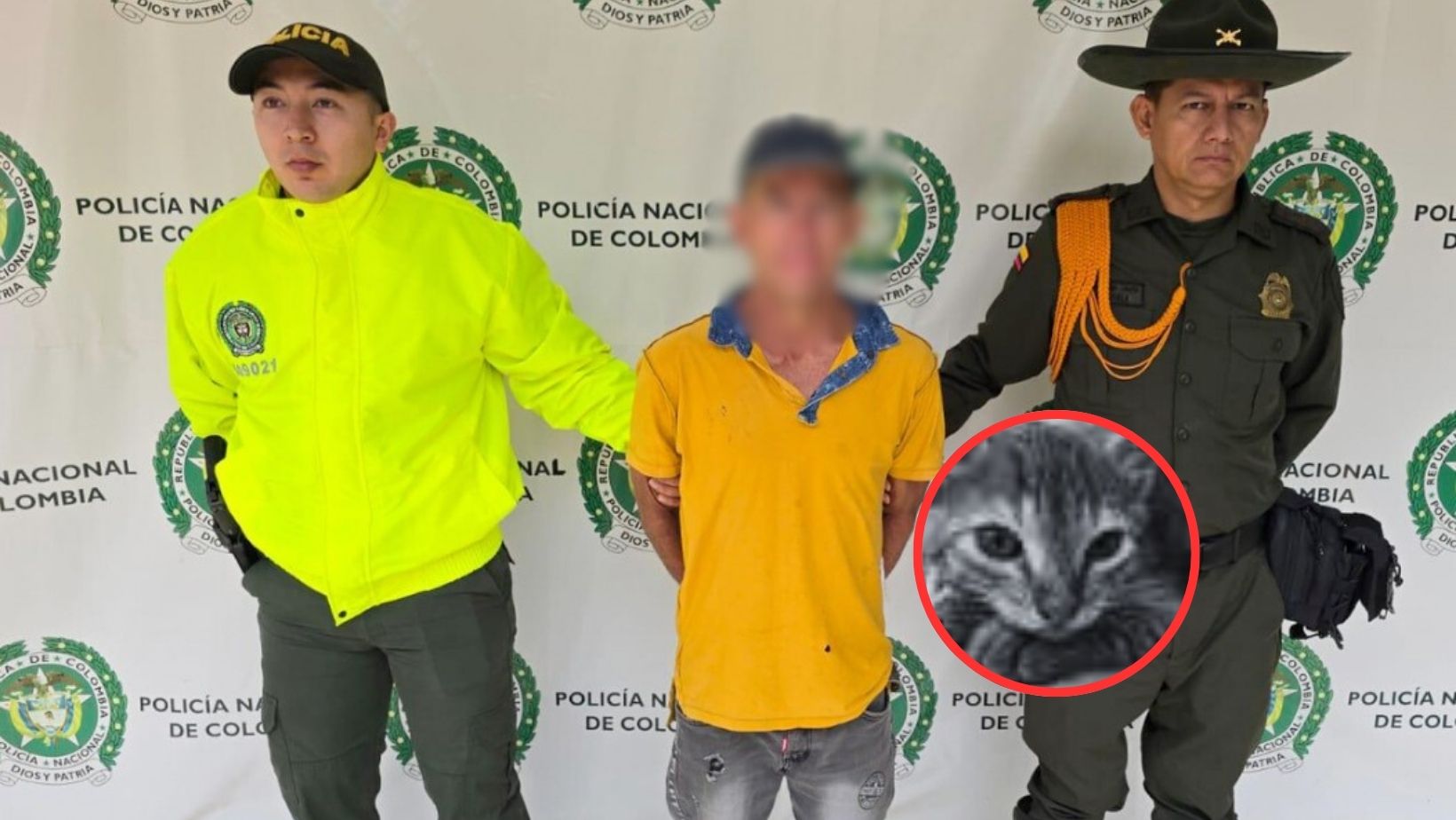 Hombre que mató al gato Michyn quedó libre en Bucaramanga y hay indignación