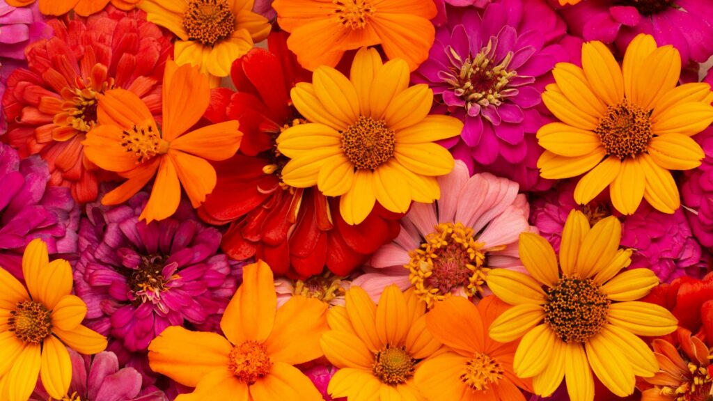 Flores / Freepik