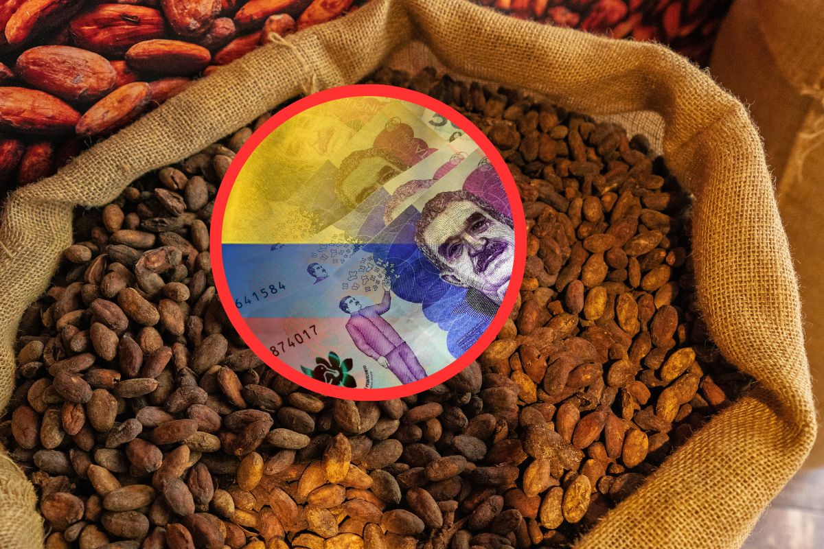 Imagen noticia seccion