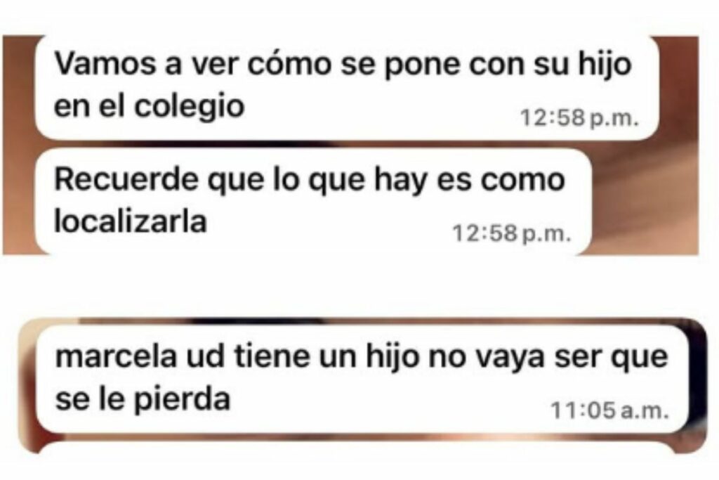 Amenazas a hijo de Marcela Reyes / Instagram: Marcela Reyes 