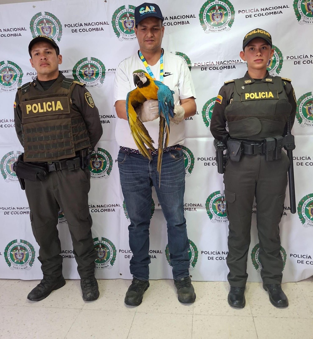 Imagen noticia seccion