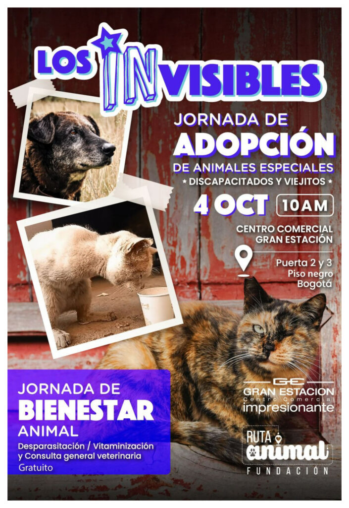Jornada de adopción y salud para perros y gatos en Bogotá