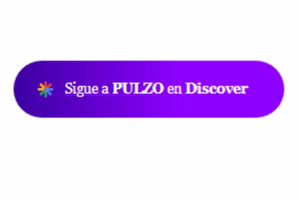 Pulzo en Google Discover / Captura de pantalla