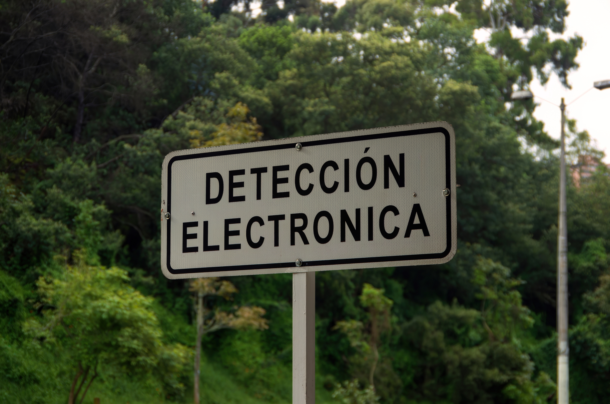 Imagen noticia seccion