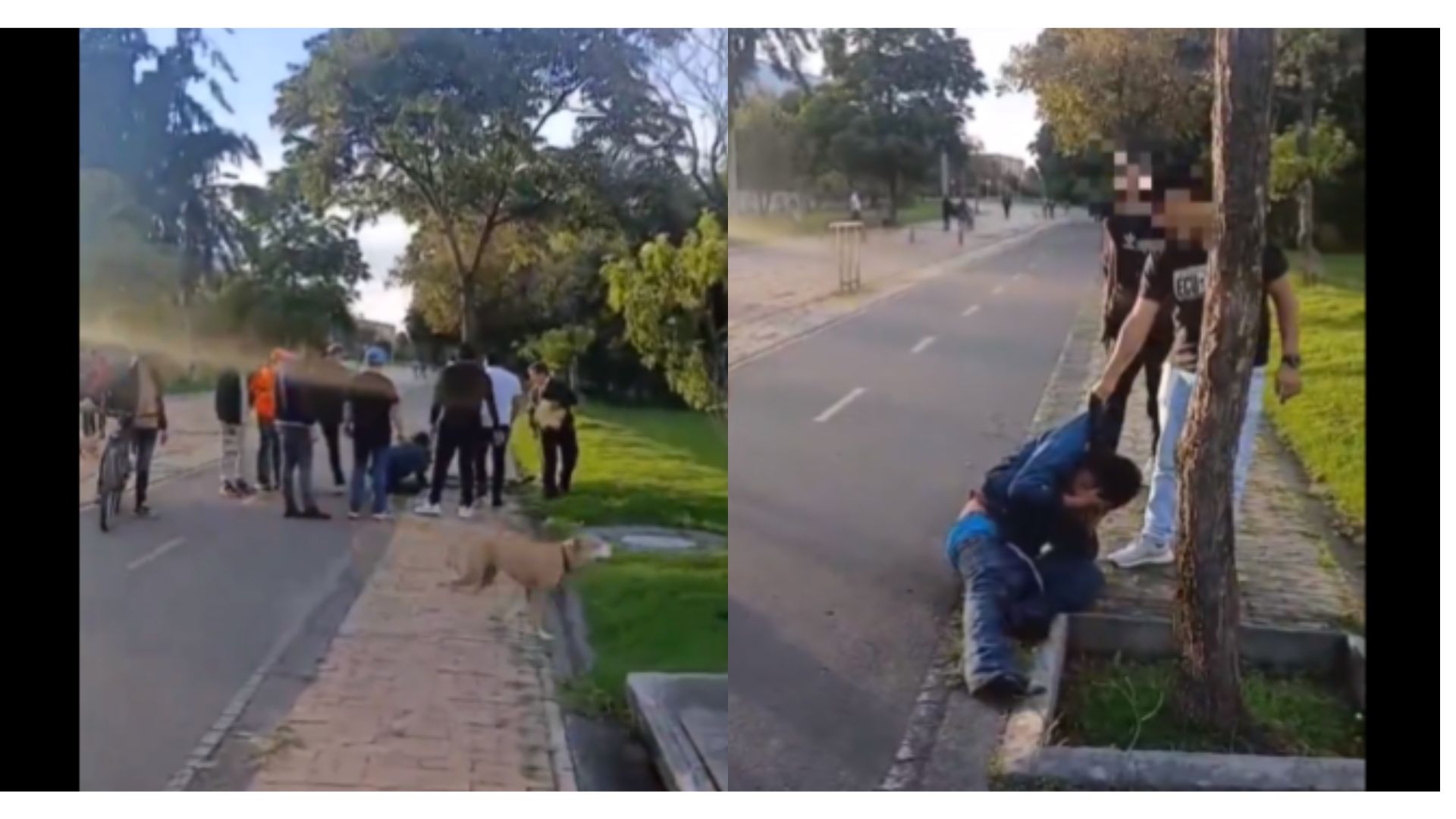Bogotá robos de celular: atrapan a ladrón que robó a un abuelo y lo golpearon