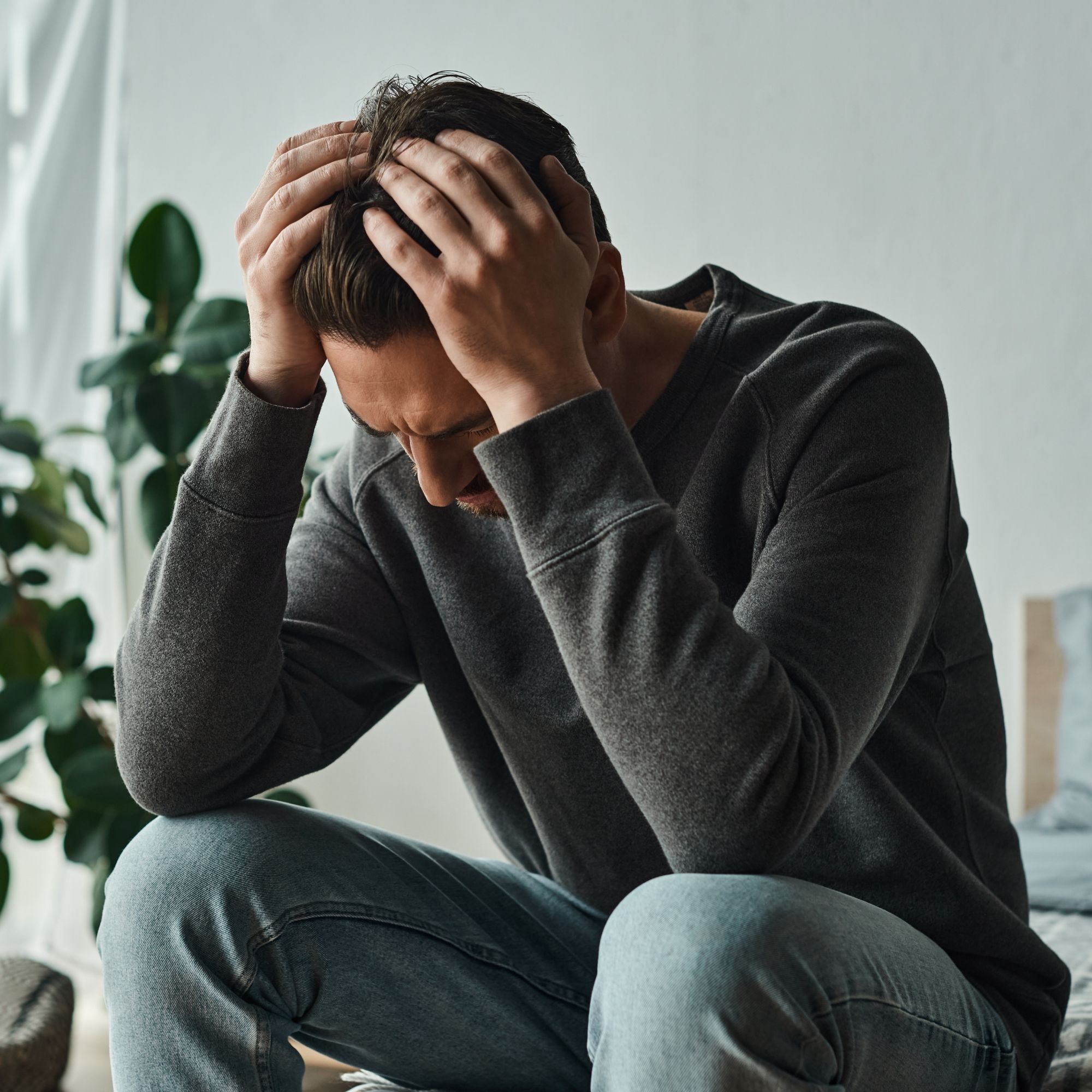 Imagen noticia seccion