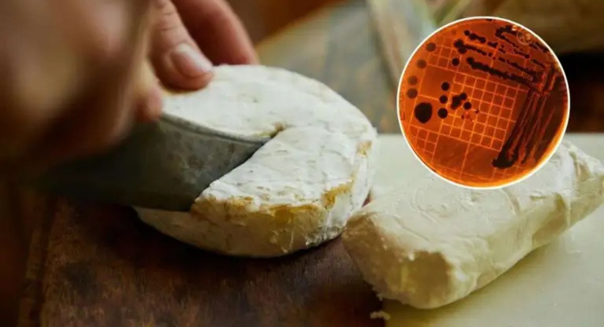 Imagen noticia seccion