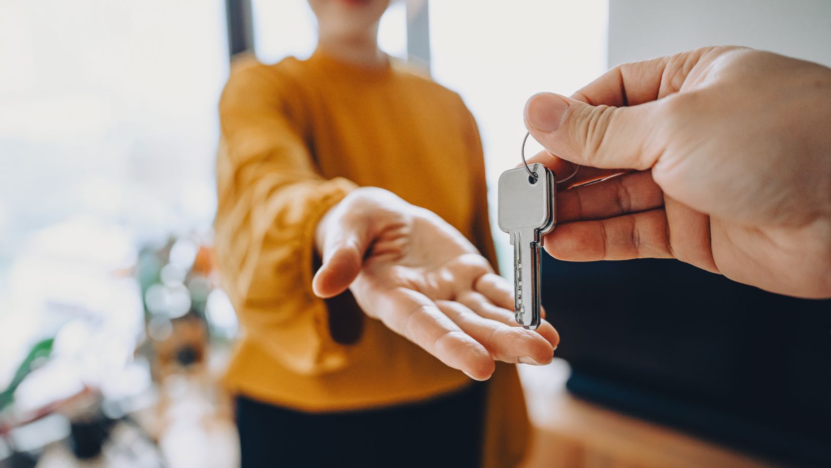 Imagen noticia seccion