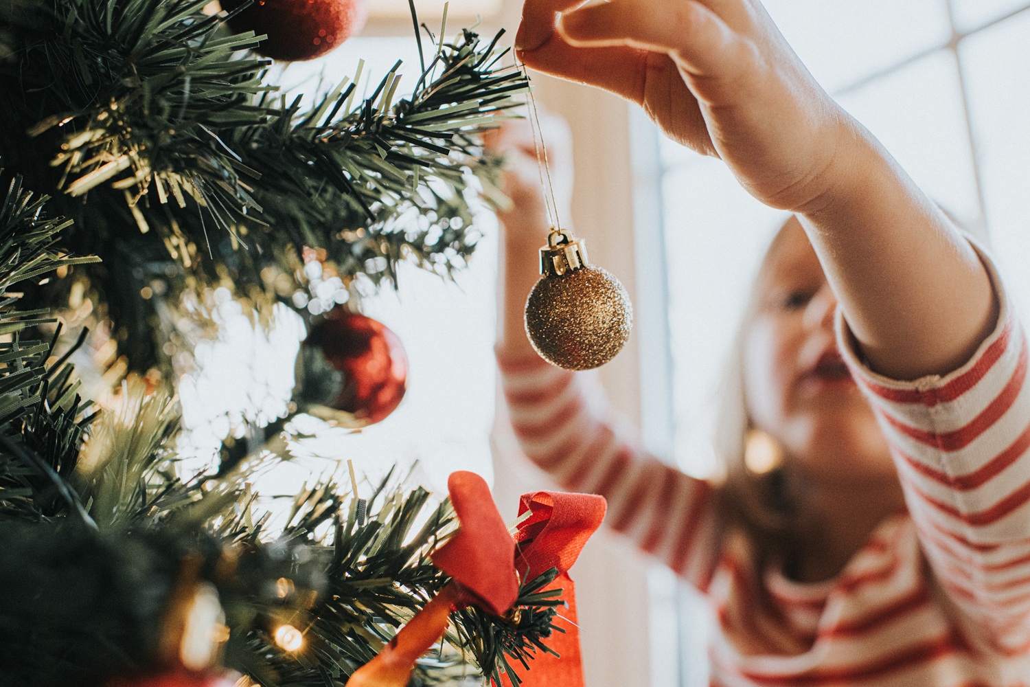 Navidad