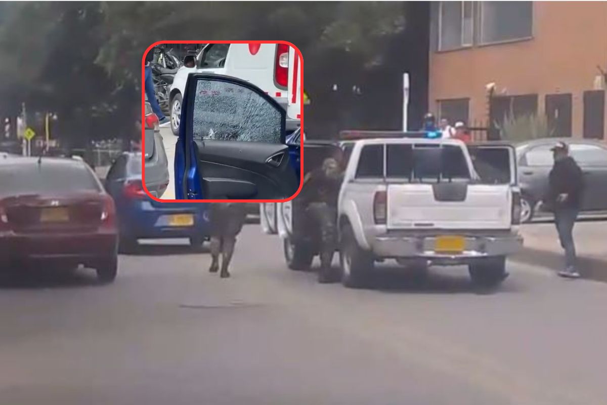 Imagen noticia seccion