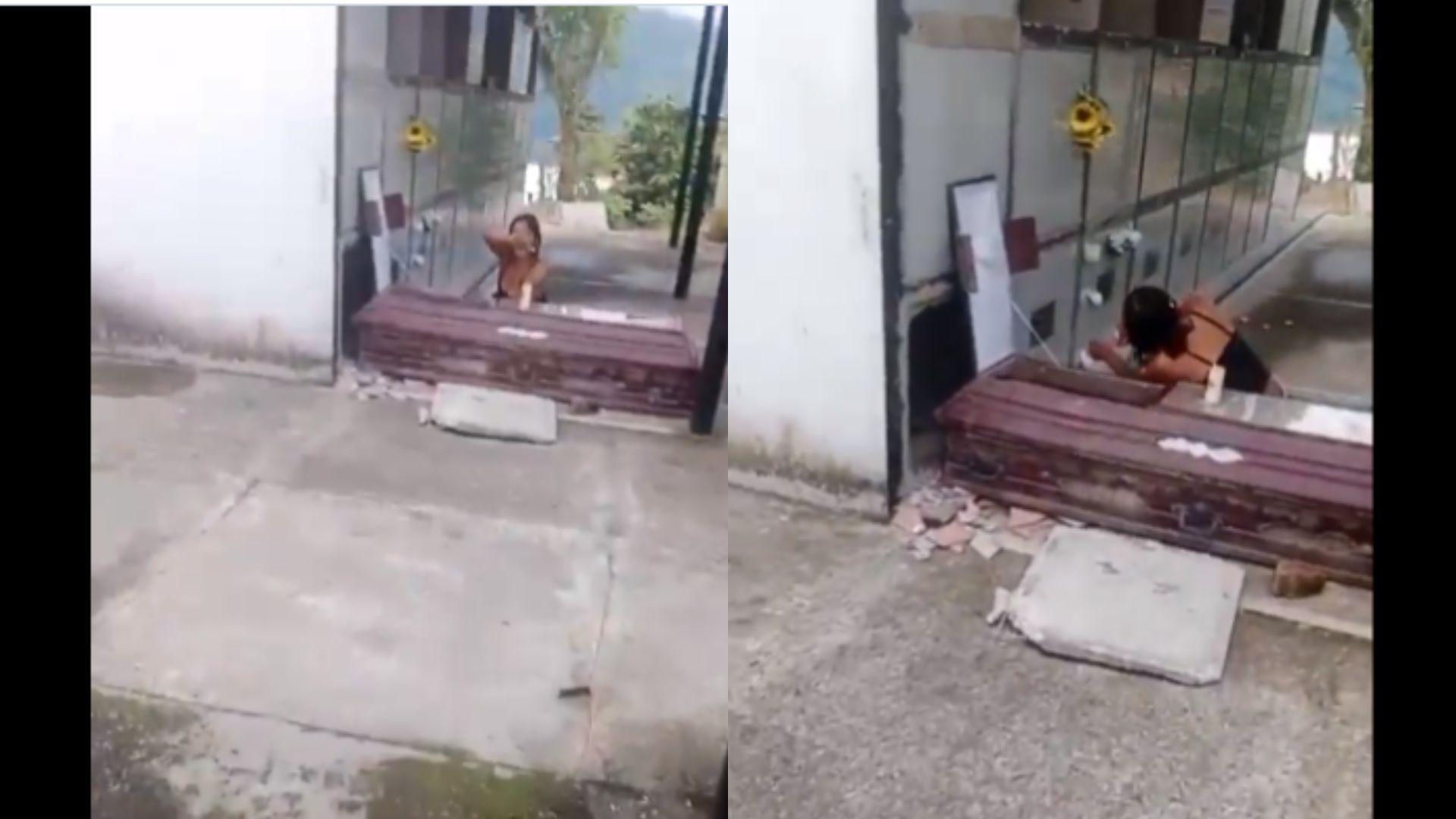 Imagen noticia seccion