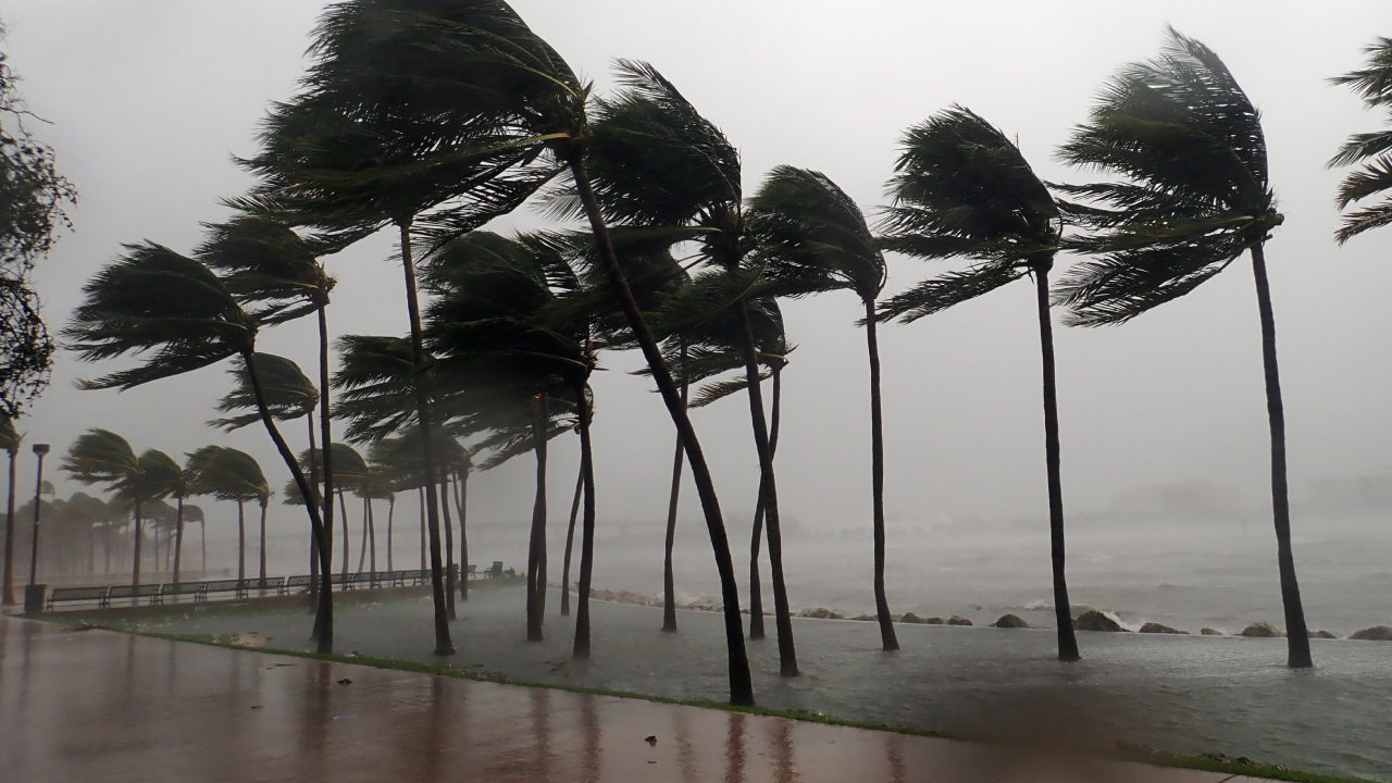 Imagen noticia seccion