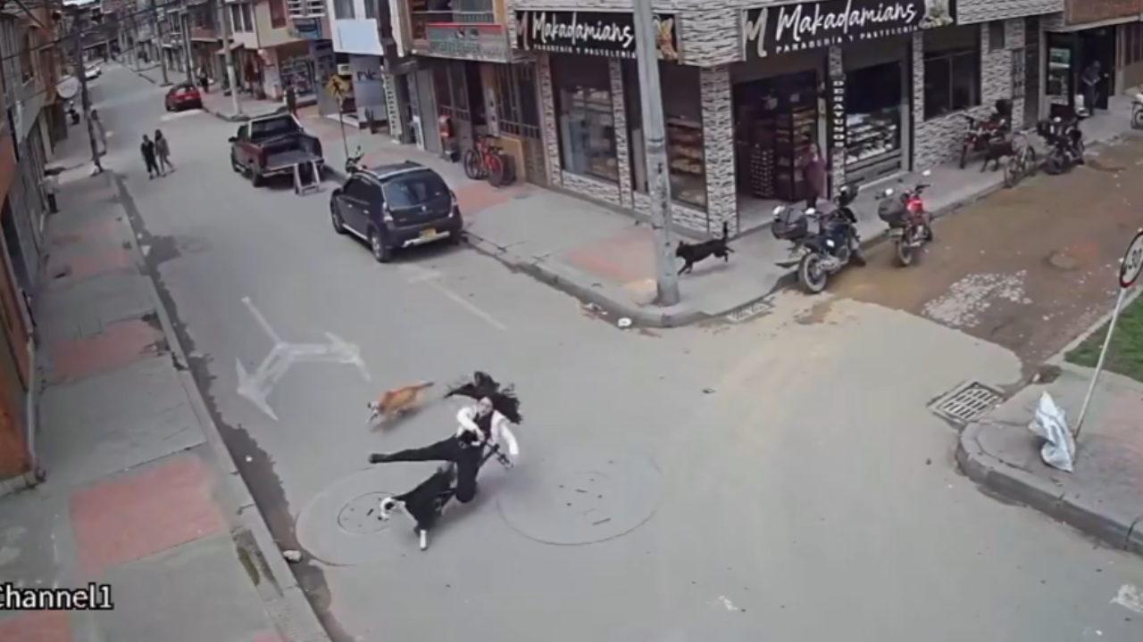 Imagen noticia seccion