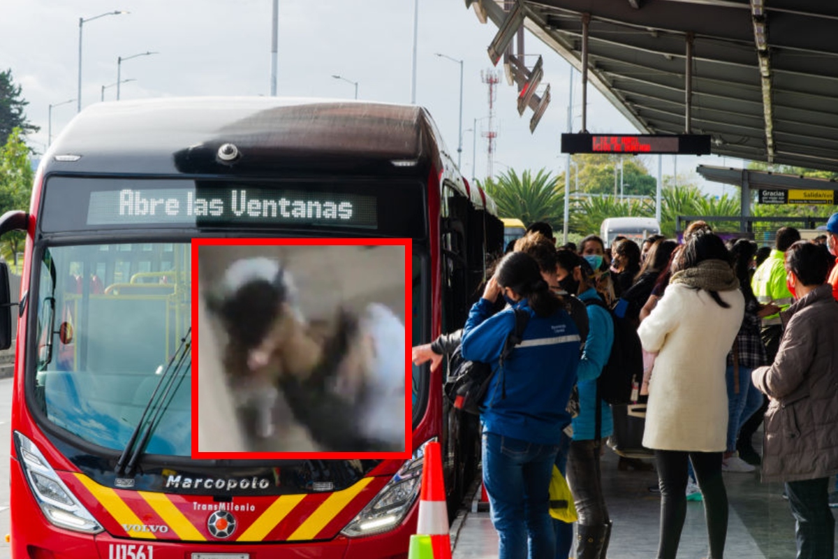 En Transmilenio, mujeres se agarraron de mechas por aparente caso de racismo