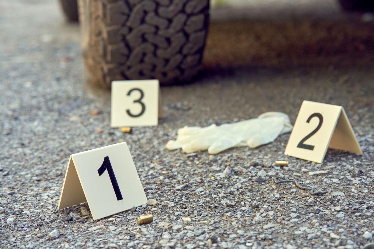 Imagen noticia seccion