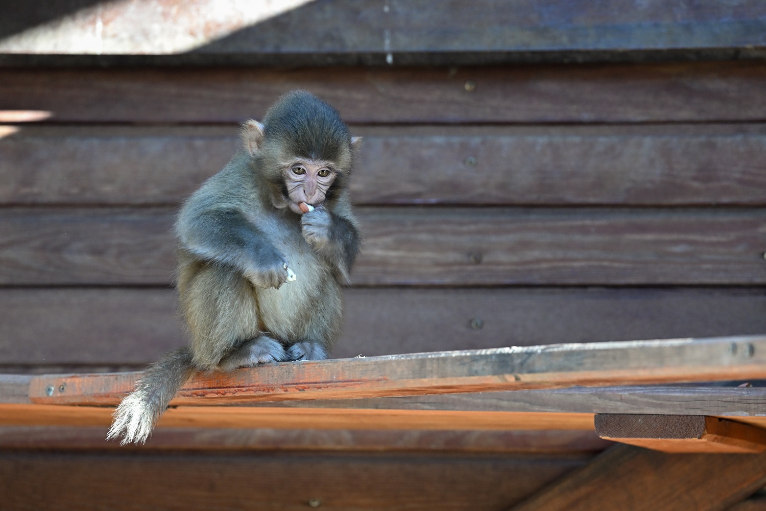 Imagen noticia seccion