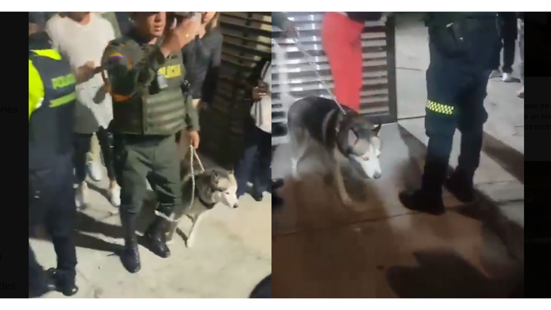 Imagen noticia seccion