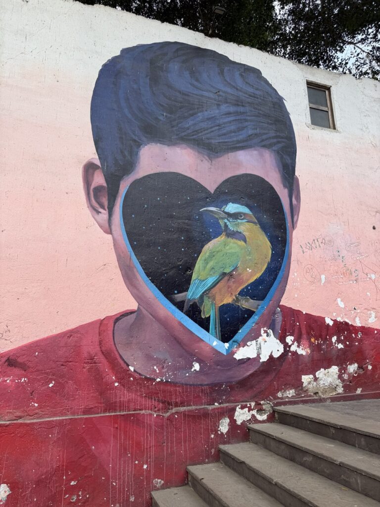 Barranco / Diego Quiroga - Pulzo