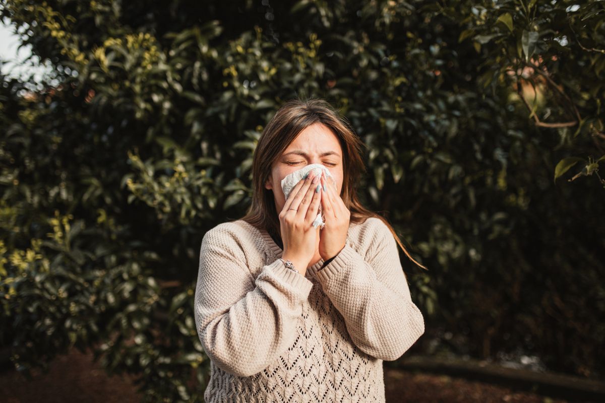 Imagen noticia seccion