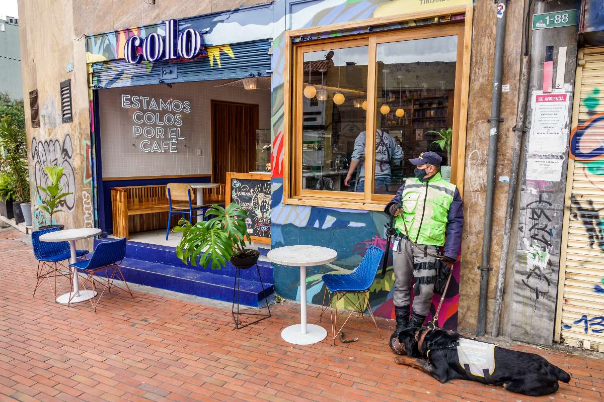 Imagen noticia seccion