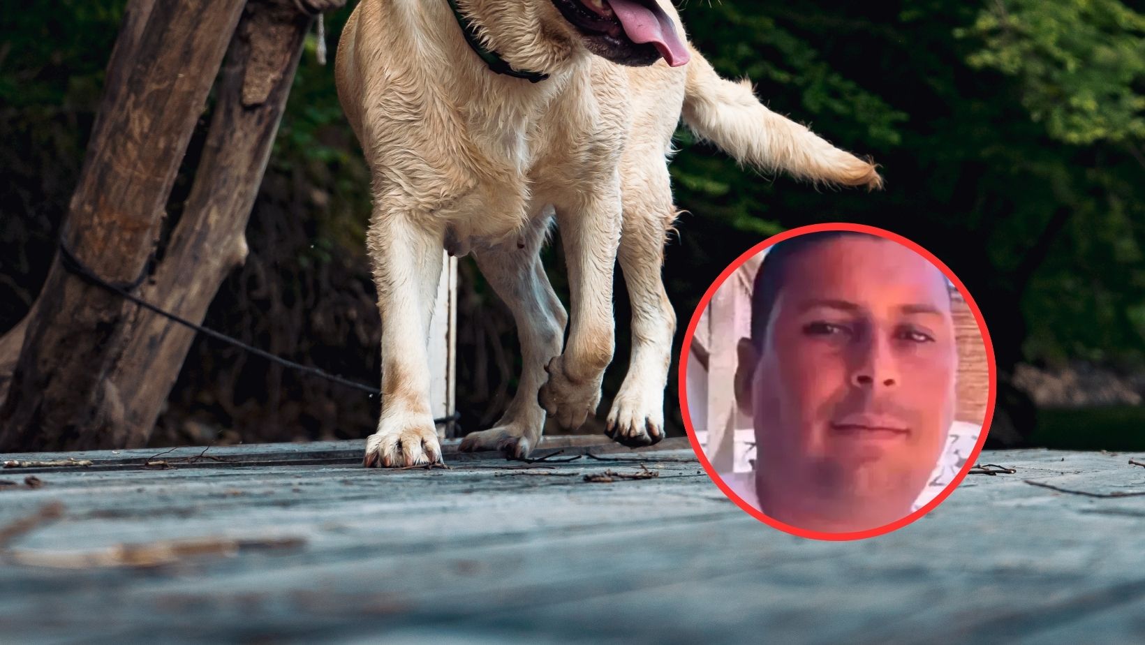 Imagen noticia seccion