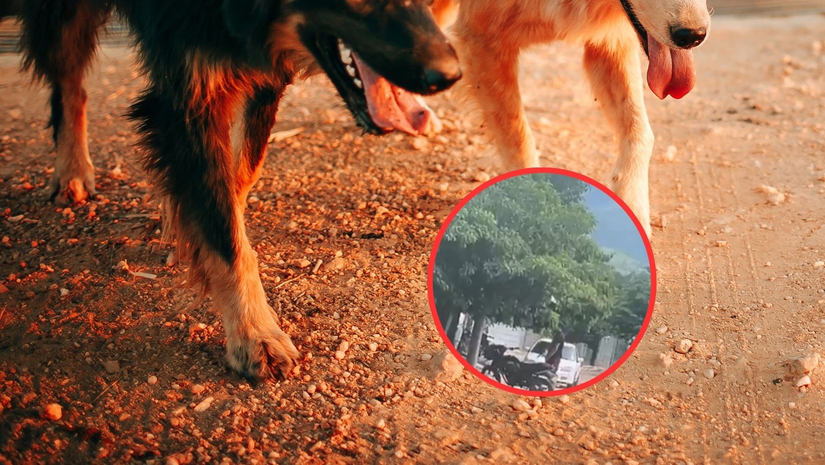 Imagen noticia seccion