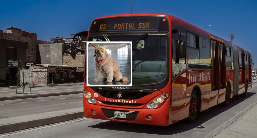 Imagen noticia seccion