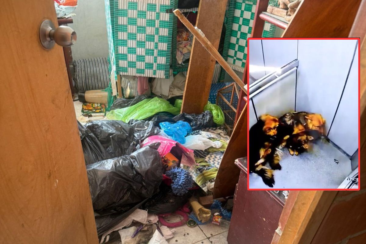 Imagen noticia seccion