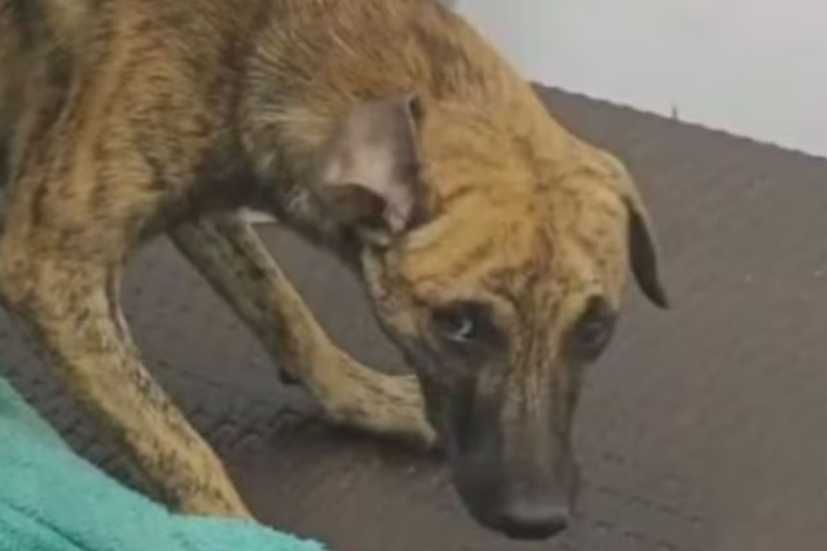 Imagen noticia seccion