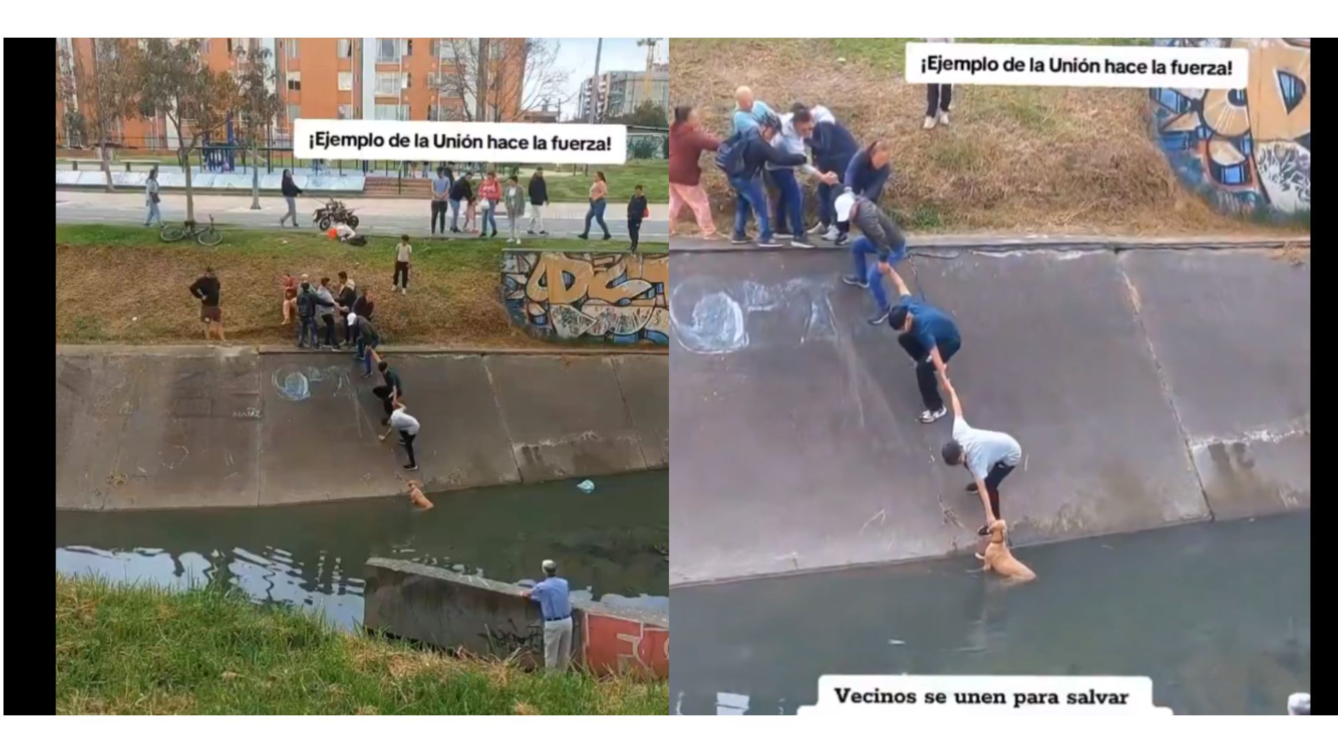 Imagen noticia seccion