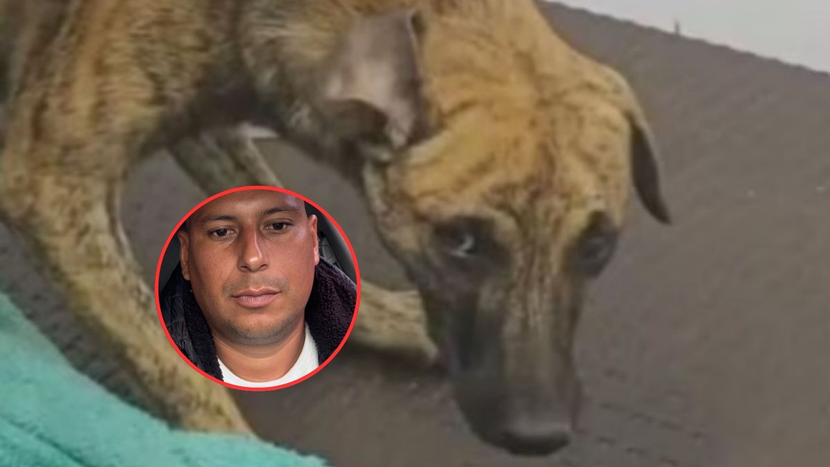 Imagen noticia seccion