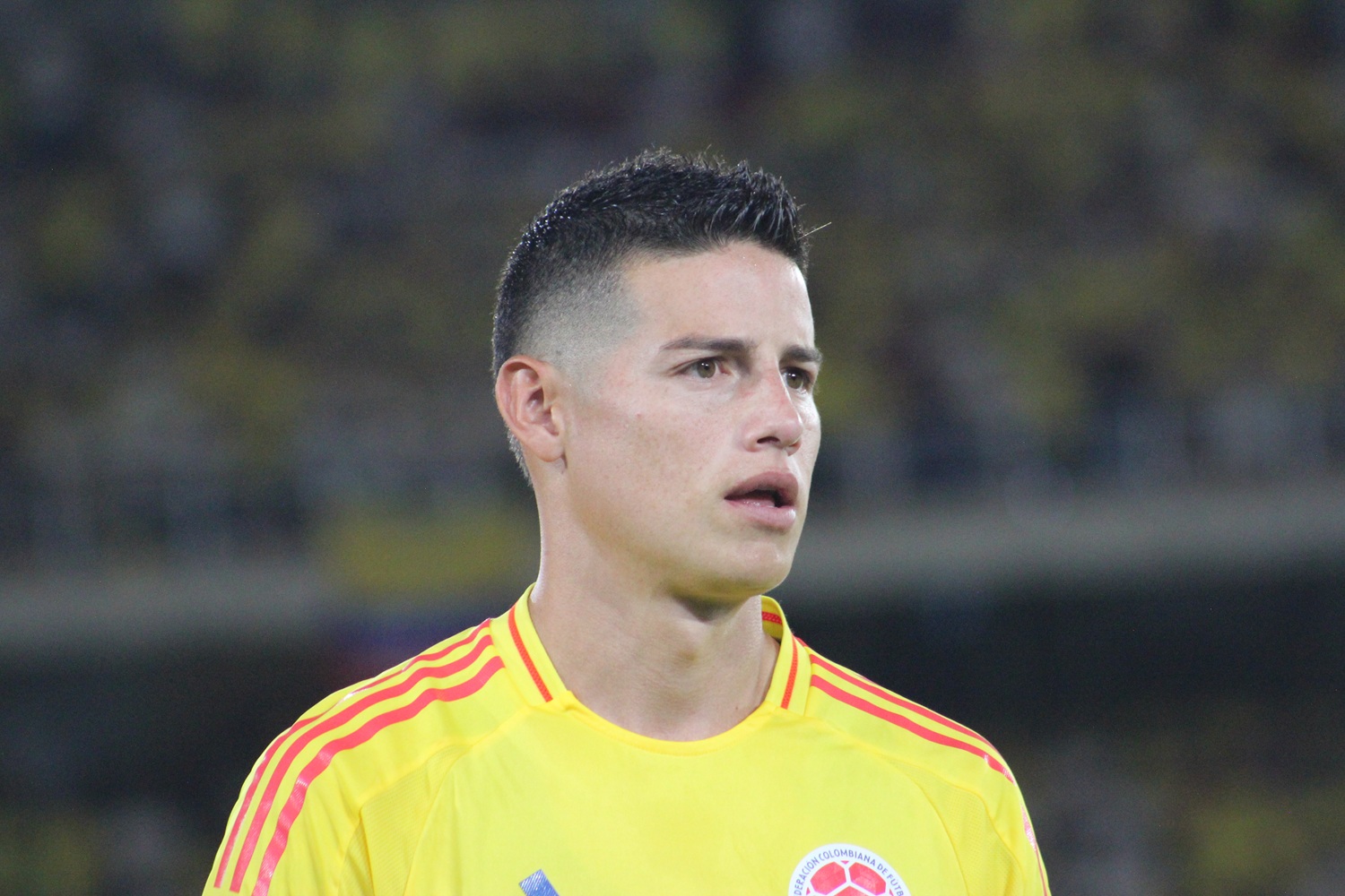 Imagen noticia seccion