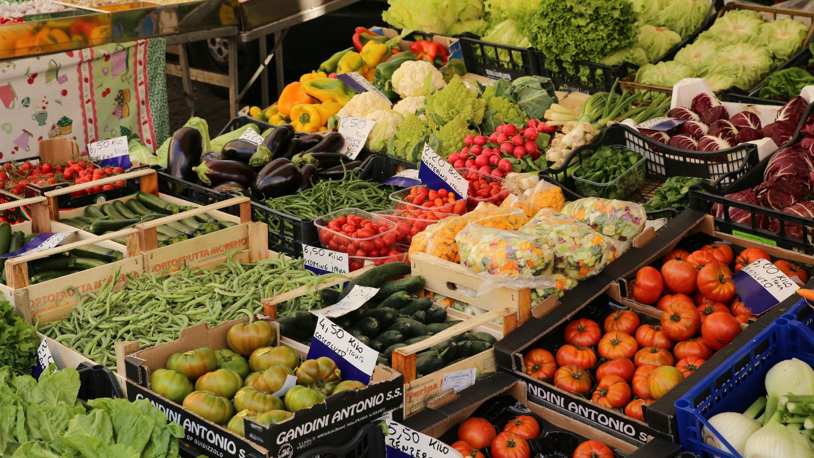 Imagen noticia seccion