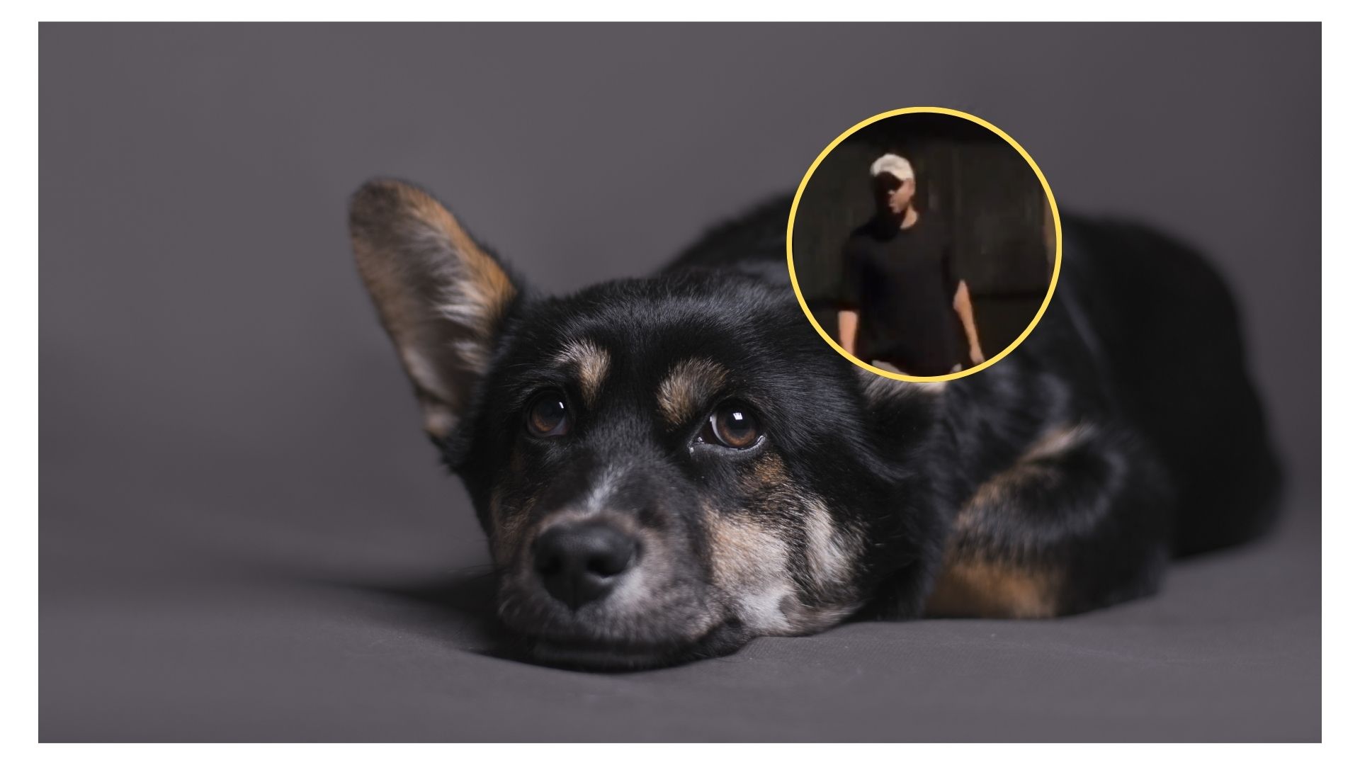 Imagen noticia seccion