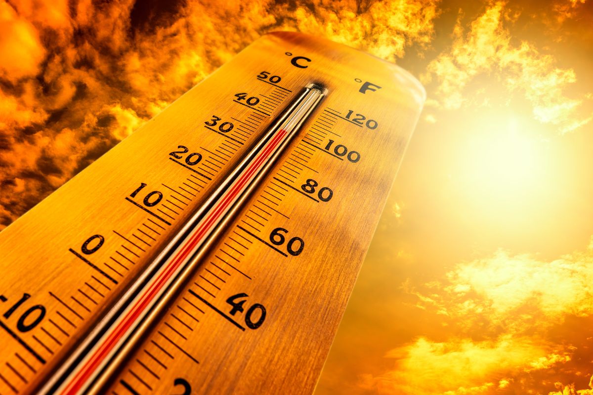 Imagen noticia seccion