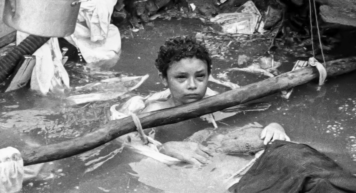 Imagen noticia seccion