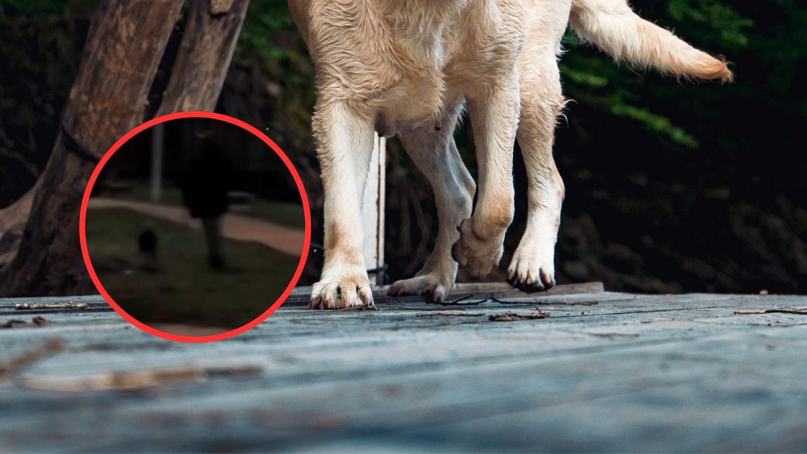 Imagen noticia seccion