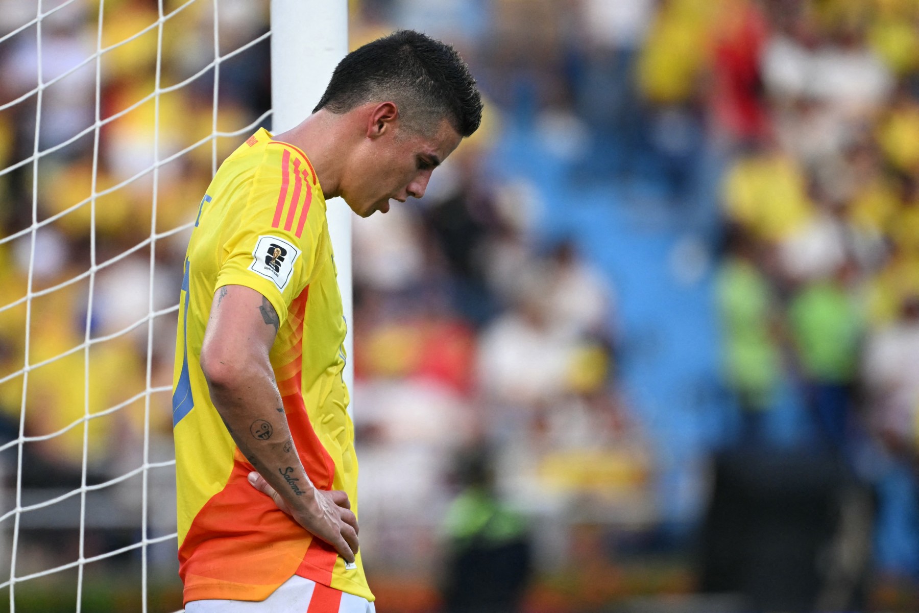 Imagen noticia seccion